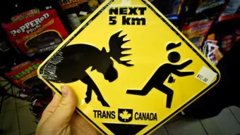 .  Linux/Moose endangered  or extinct?  An update on this atypical embedded Linux botnet  by