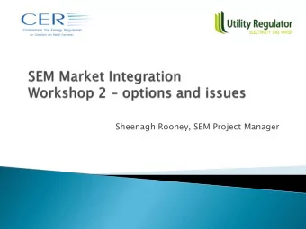 Sheenagh Rooney, SEM Project Manager  Workshop 1  October 3 rd , discussions on challenges