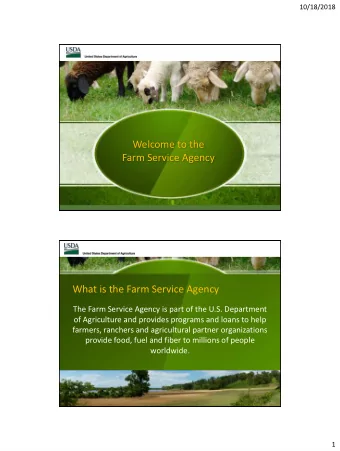 Welcome to the  Farm Service Agency  What is the Farm Service Agency  The Farm Service Agency is
