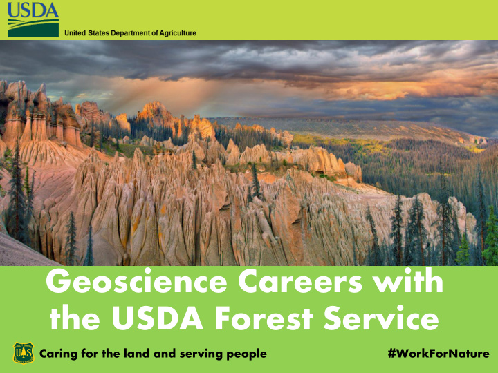 the usda forest service