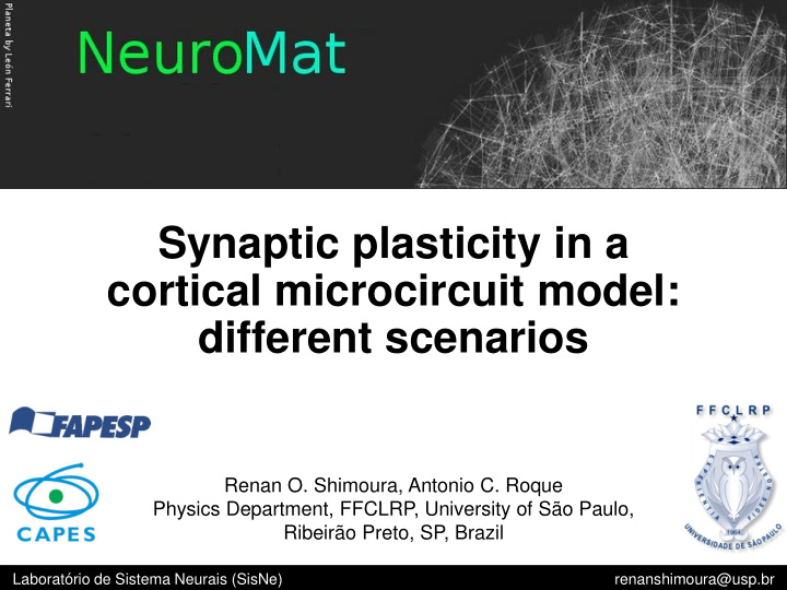 synaptic plasticity in a