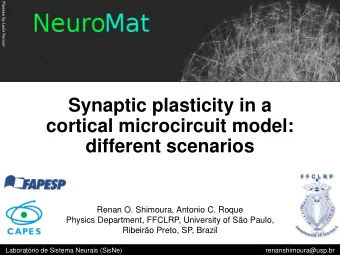 Synaptic plasticity in a  cortical microcircuit model:  different scenarios  Renan O. Shimoura,