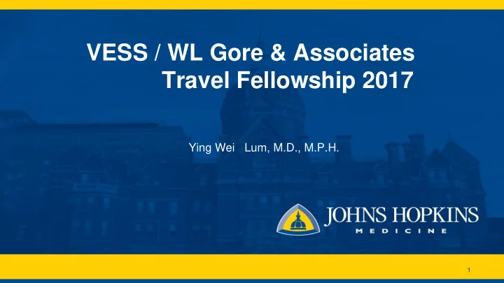 travel fellowship 2017