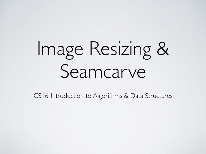 image resizing seamcarve