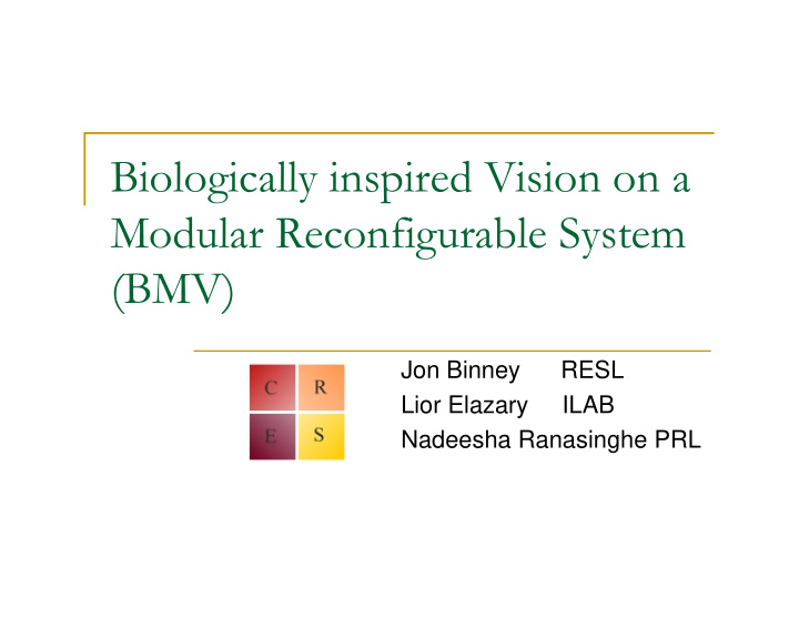 biologically inspired vision on a modular reconfigurable