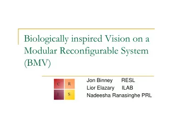 Biologically inspired Vision on a  Modular Reconfigurable System  (BMV)  Jon Binney      RESL  Lior