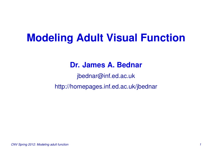 modeling adult visual function