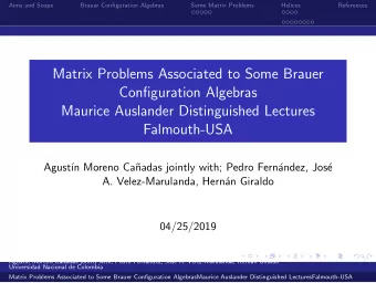 Matrix Problems Associated to Some Brauer  Configuration Algebras  Maurice Auslander Distinguished