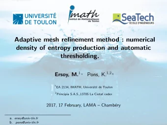 Adaptive mesh refinement method : numerical  density of entropy production and automatic