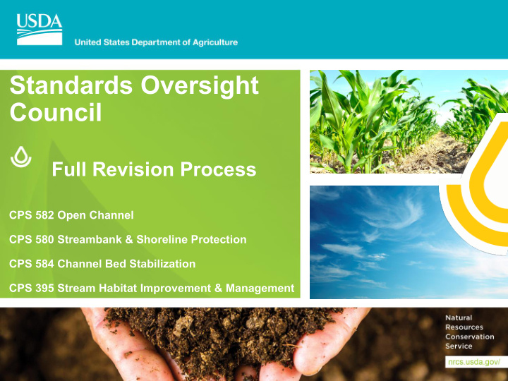 standards oversight council