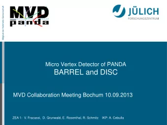 BARREL and DISC  MVD Collaboration Meeting Bochum 10.09.2013  ZEA 1:  V. Fracassi,  D. Grunwald, E.