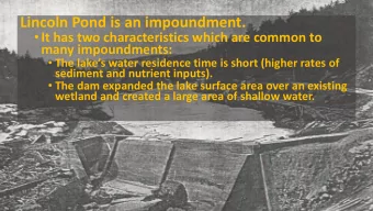 Lincoln Pond is an impoundment.  It has two characteristics which are common to  many