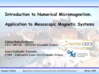 Introduction to Numerical Micromagnetism.  Application to Mesoscopic Magnetic Systems  Liliana