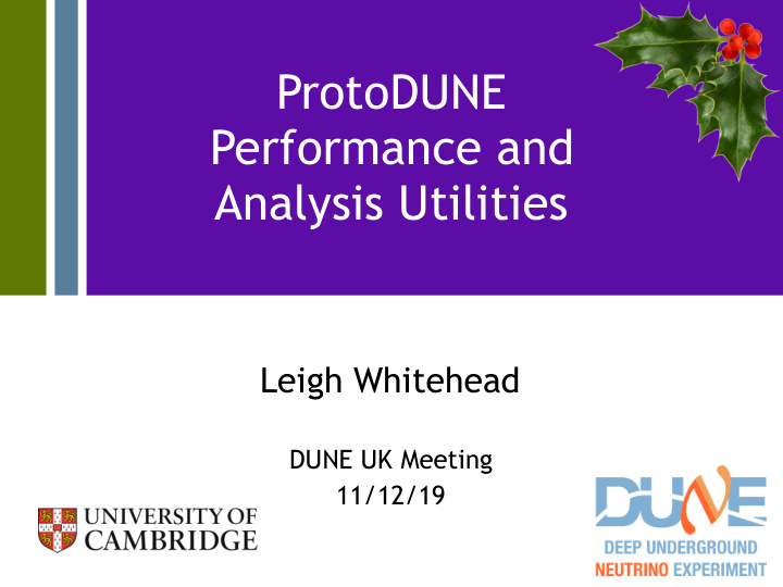 protodune performance and analysis utilities