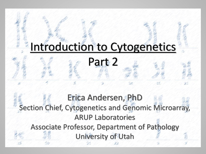 introduction to cytogenetics