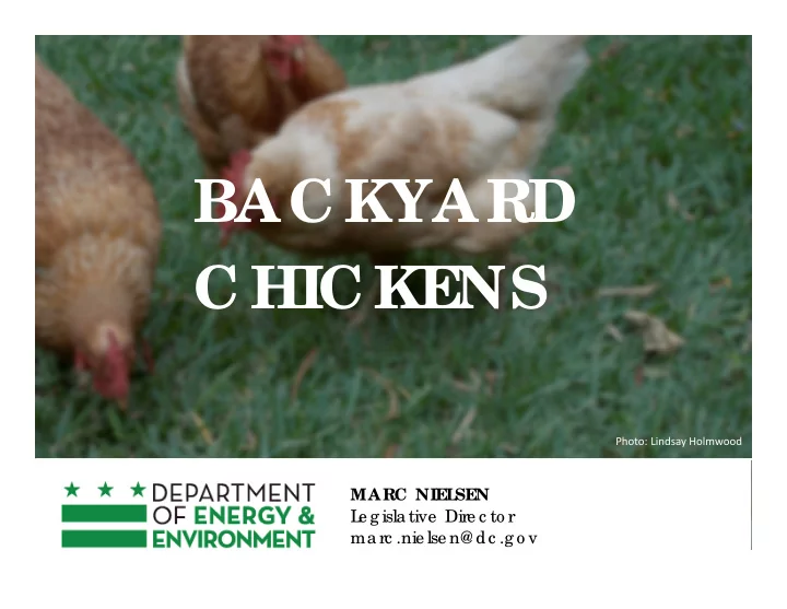 bac kyard c hic kens