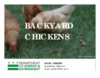 BAC KYARD  C HIC KENS Photo: Lindsay Holmwood  MARC  NIEL  SEN  L  e g isla tive  Dire c to r  ma