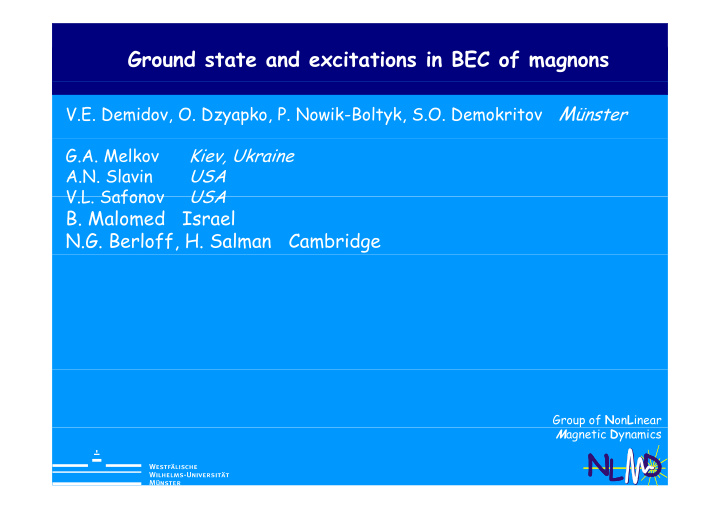 ground state and excitations in bec of magnons