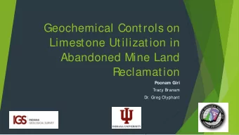 Project Scope  Overview of Acid Mine Drainage  I.  (AMD), Remediation Options,  and Practices