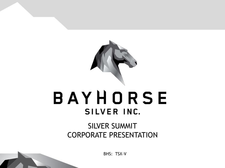 silver summit corporate presentation