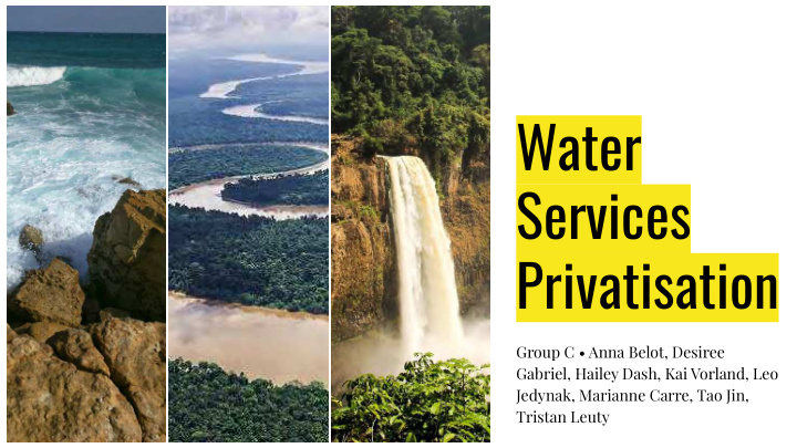 water services privatisation