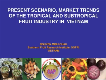 PRESENT SCENARIO, MARKET TRENDS  OF THE TROPICAL AND SUBTROPICAL  FRUIT INDUSTRY IN  VIETNAM