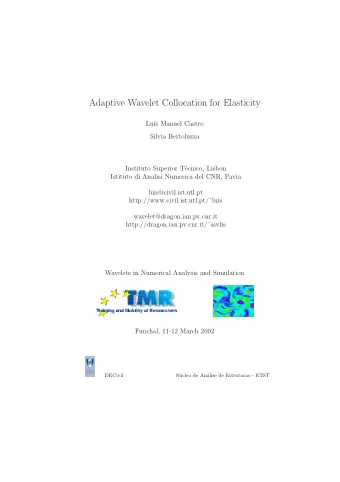 Adaptive Wavelet Collocation for Elasticity  Lu  s Manuel Castro  Silvia Bertoluzza  Instituto