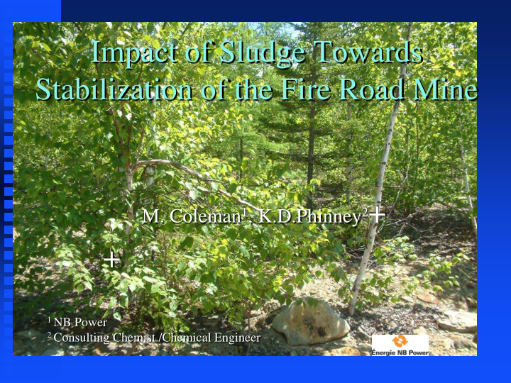 impact of sludge towards stabilization of the fire road