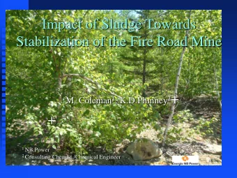 Impact of Sludge Towards  Stabilization of the Fire Road Mine M. Coleman 1 , K.D.Phinney 2 +  + 1