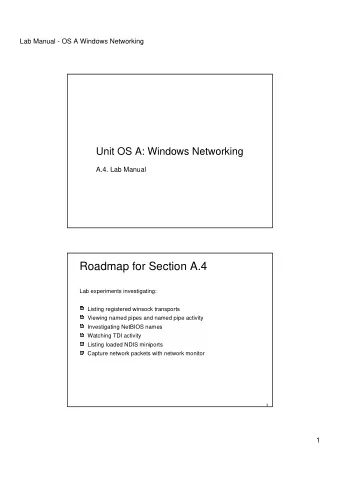 Roadmap for Section A.4  Lab experiments investigating:  Listing registered winsock transports