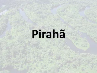 Pirah Pirah  Numbers &amp; Stuff  ISO 639-2 &lt;myp&gt;  Spoken by Hi'aiti'ihi (