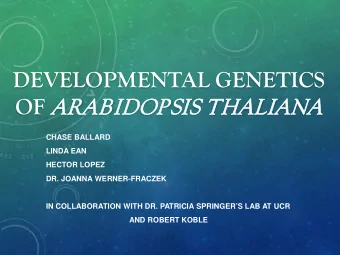 DEVELOPMENTAL GENETICS OF AR  ARAB  ABIDOPSIS T  THAL  ALIAN  ANA  CHASE BALLARD  LINDA EAN  HECTOR