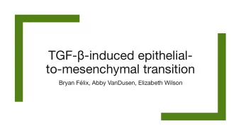 TGF-  -induced epithelial-  to-mesenchymal transition  Bryan Flix, Abby VanDusen, Elizabeth