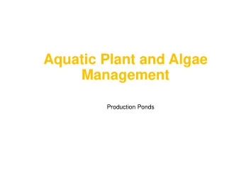 Management  Production Ponds Aquatic Plants .  An absolutely critical component to pond