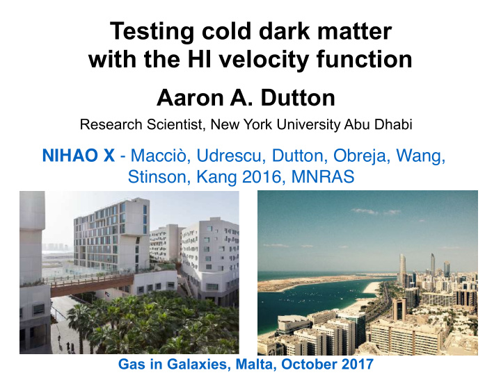 testing cold dark matter with the hi velocity function