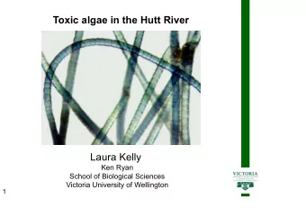 Toxic algae in the Hutt River  Laura Kelly  Ken Ryan  School of Biological Sciences  Victoria