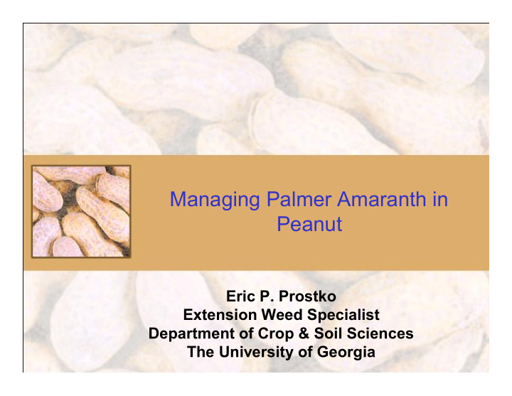 managing palmer amaranth in peanut