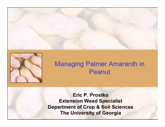 Managing Palmer Amaranth in  Peanut  Eric P. Prostko  Extension Weed Specialist  Department of Crop