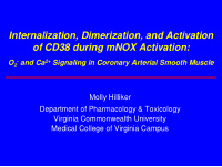 internalization dimerization and activation of cd38