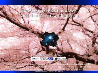 Illuminating the Sakura Web with Fluorescent Ly  Emission  Sebastiano Cantalupo In collaboration