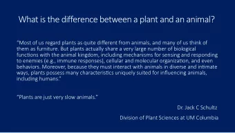 What is the diference between a plant and an animal?  Most of us regard plants as quite diferent