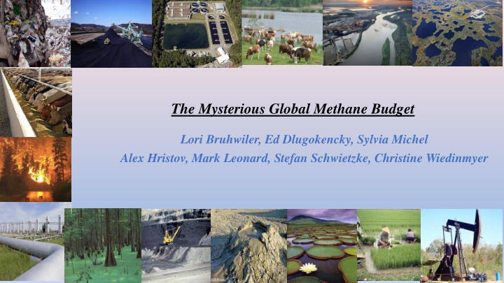 the mysterious global methane budget