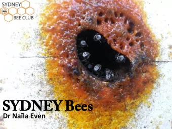 SYDNEY Bees  SYDNEY Bees  Dr Nala Even  How well do you know bees and  How well do you know bees