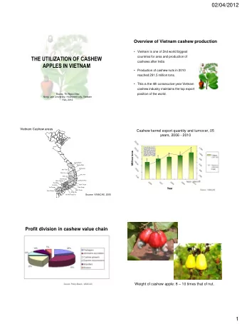 THE UTILIZATION OF CASHEW  cashews after India  APPLES IN VIETNAM  Production of cashew nuts in
