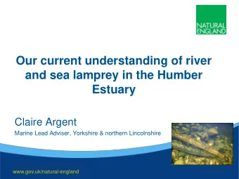and sea lamprey in the Humber  Estuary  Claire Argent  Marine Lead Adviser, Yorkshire &amp;