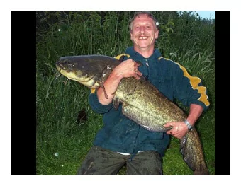 fisheries  General Outline  1.  Introduction  2.  Fisheries Science  3.  Effects of Fishing  4.