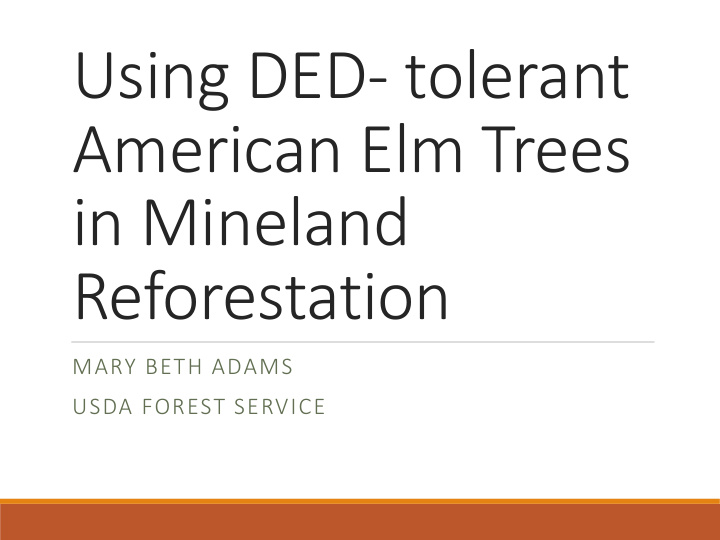 using ded tolerant american elm trees in mineland