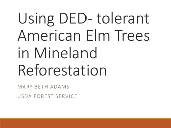 Using DED- tolerant  American Elm Trees  in Mineland  Reforestation  MARY BETH ADAMS  USDA FOREST