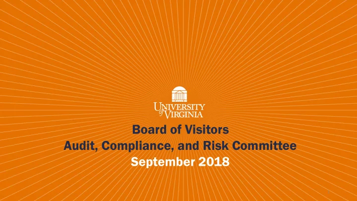 board of visitors audit compliance and risk committee