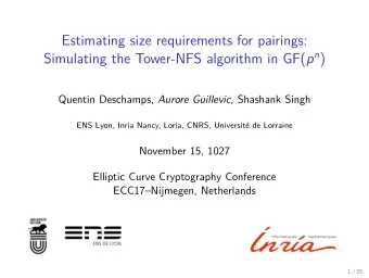 Estimating size requirements for pairings: Simulating the Tower-NFS algorithm in GF( p n ) Quentin